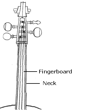 Cello Fingerboard