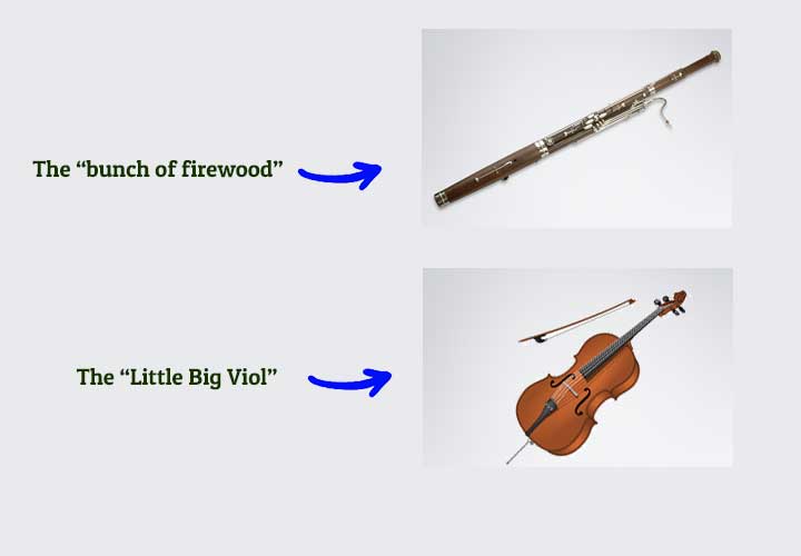 The cello's full name means 'The little big viol'