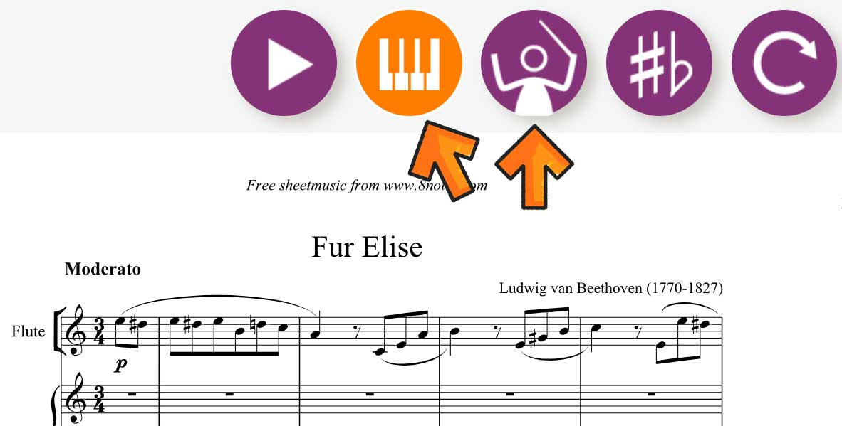 8notes playalong options