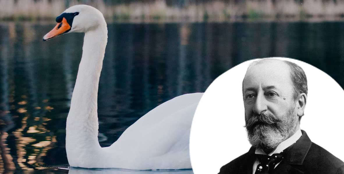 Saint Saens and a Swan