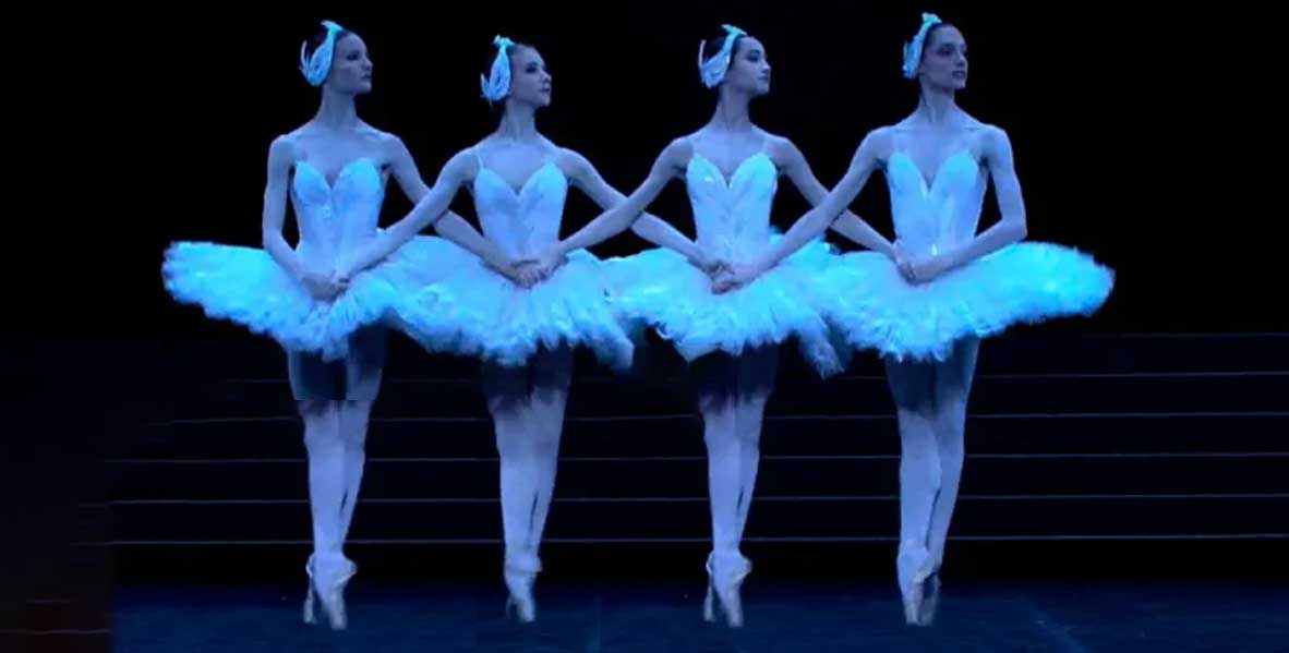 Swans dancing Swan Lake