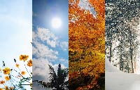 The Four Seasons