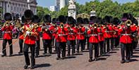 Band of Welsh Guards