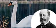Saint Saens and a Swan
