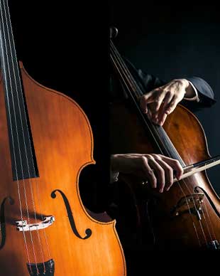 Cello-Bass Duet Sheet Music