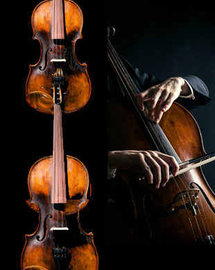 String Trio Sheet Music String Trio Sheet Music