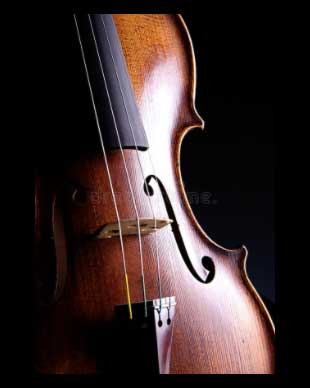 Viola Sheet Music Viola Sheet Music