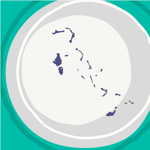Bahamian Bahamian