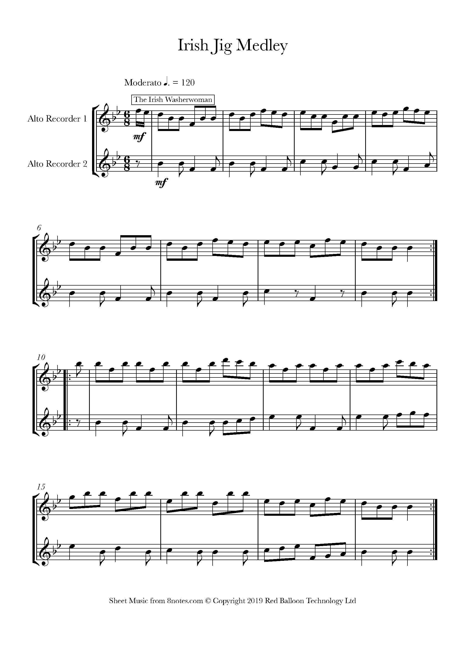 Irish Jig Medley Sheet music for Alto Recorder Duet