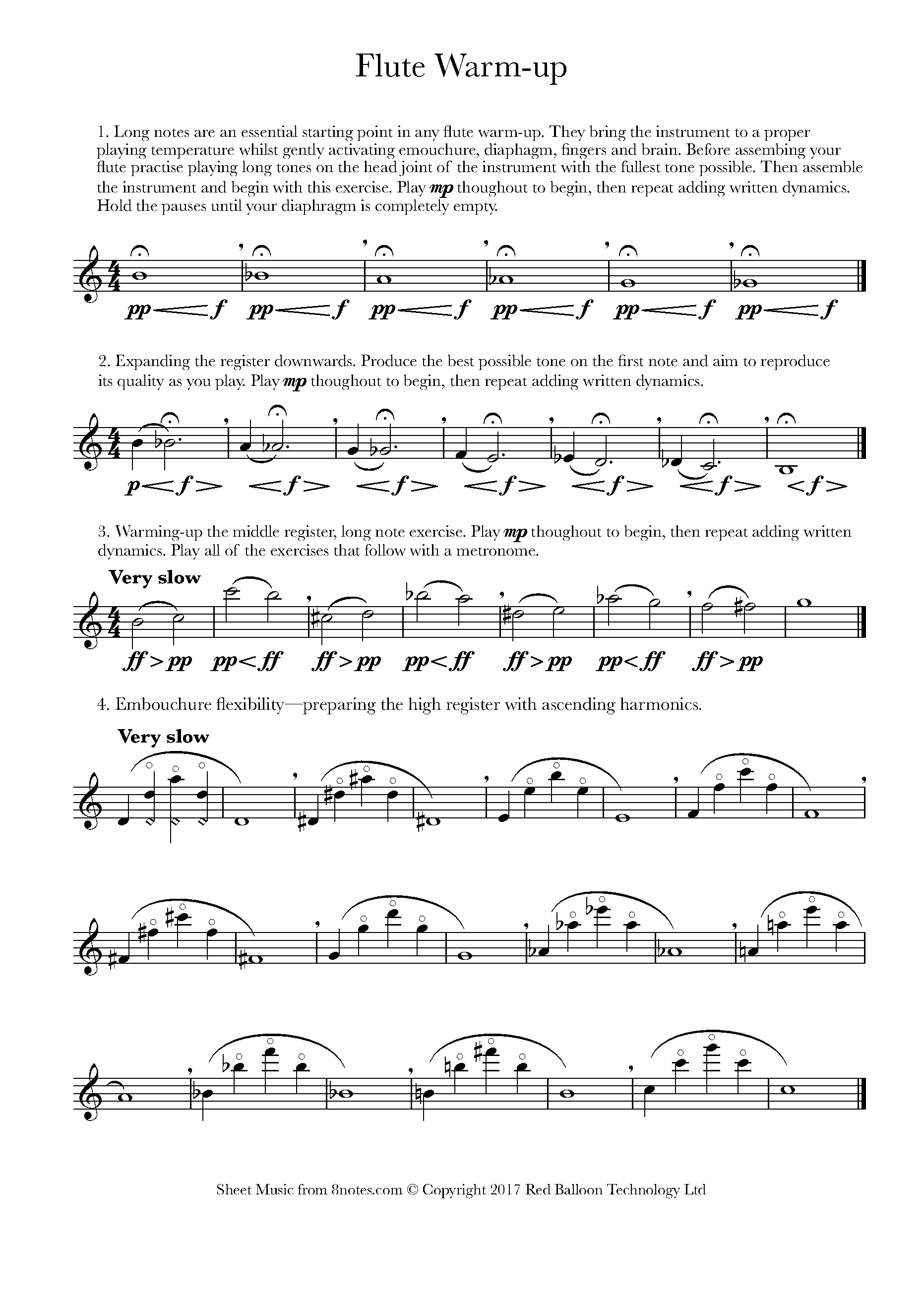 Flute Warmup Exercises Sheet music for Flute