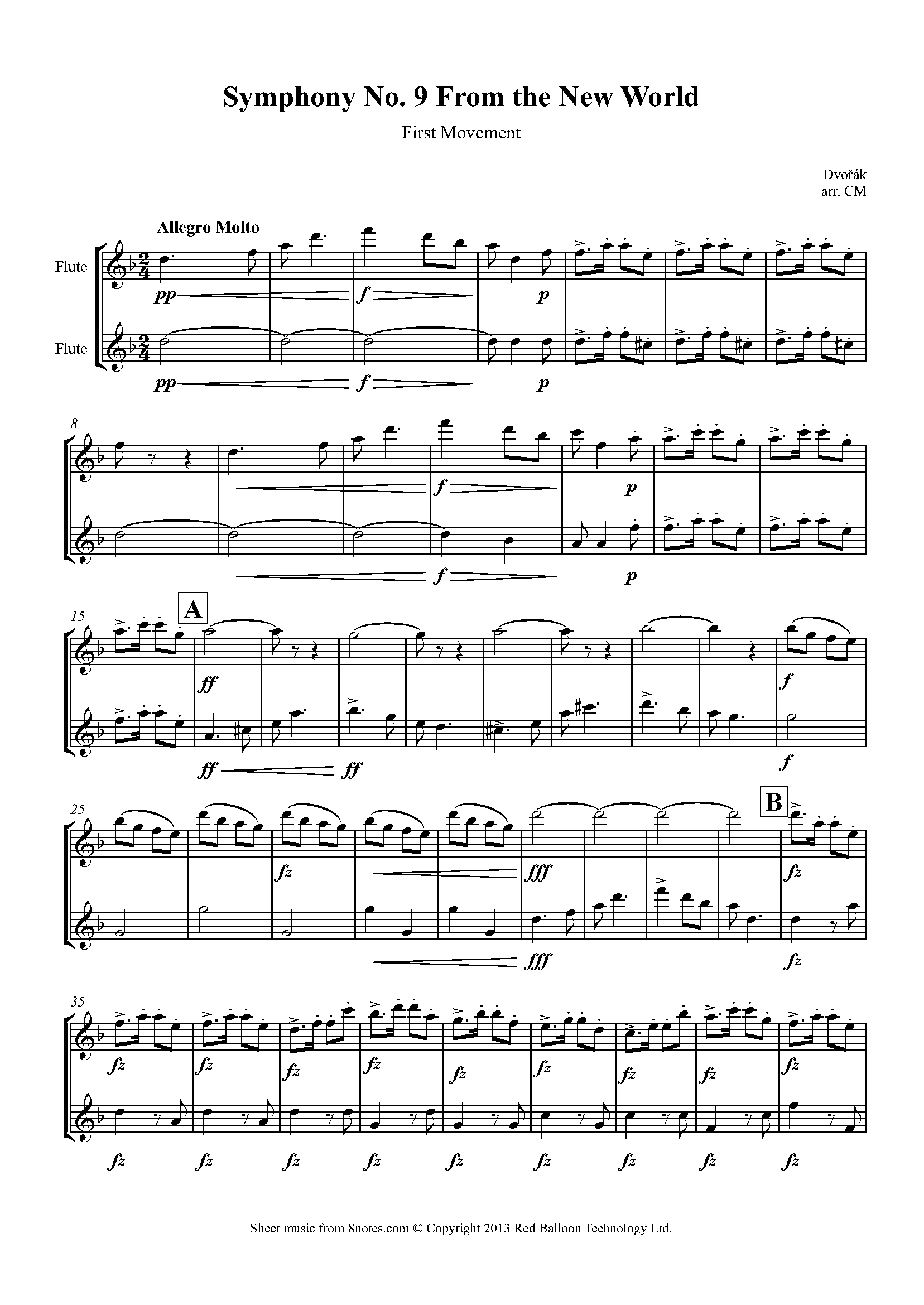 Dvořák Symphony No. 9 From the New World 1st movement Sheet music for Flute Duet