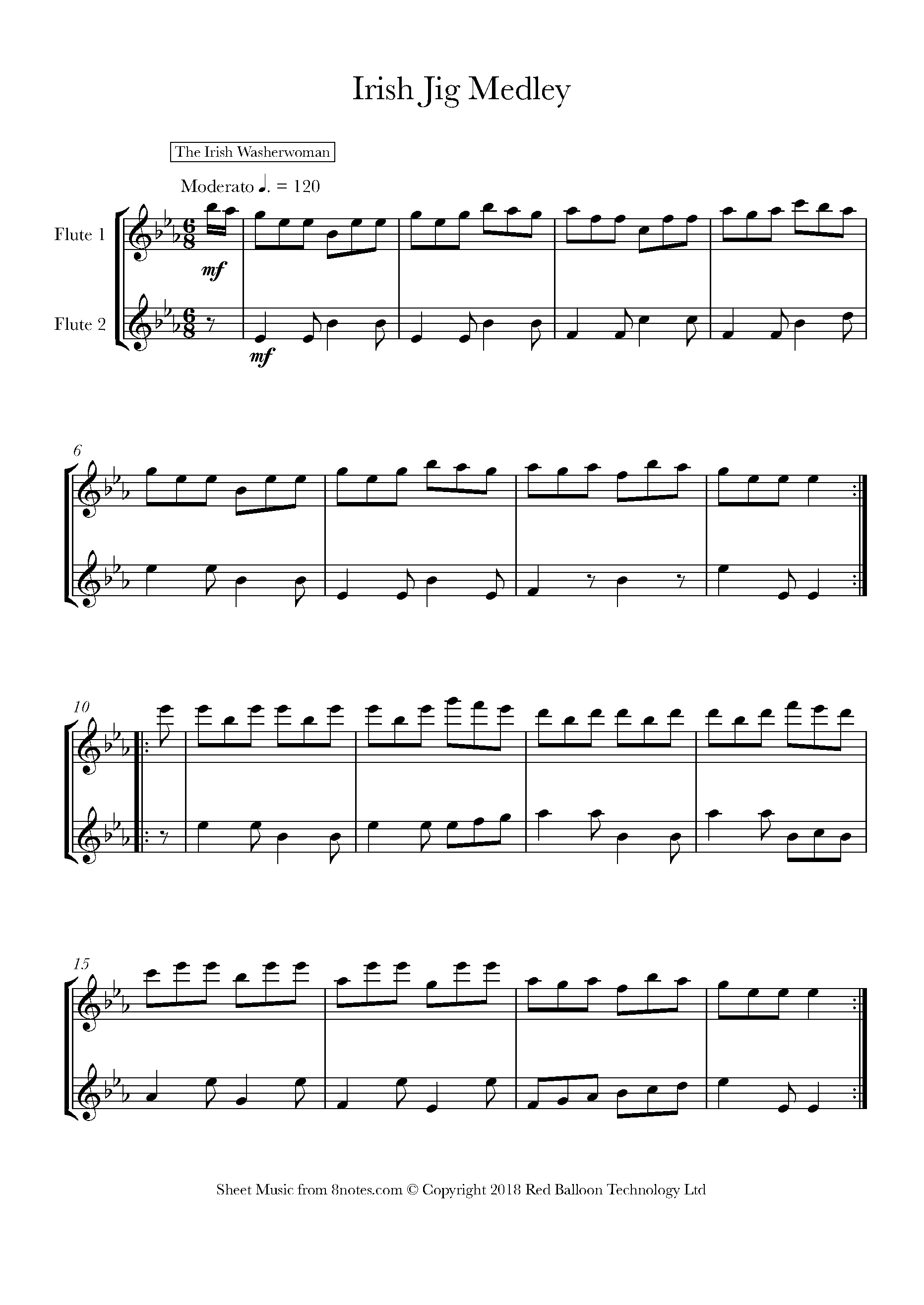 Irish Jig Medley Sheet music for Flute Duet
