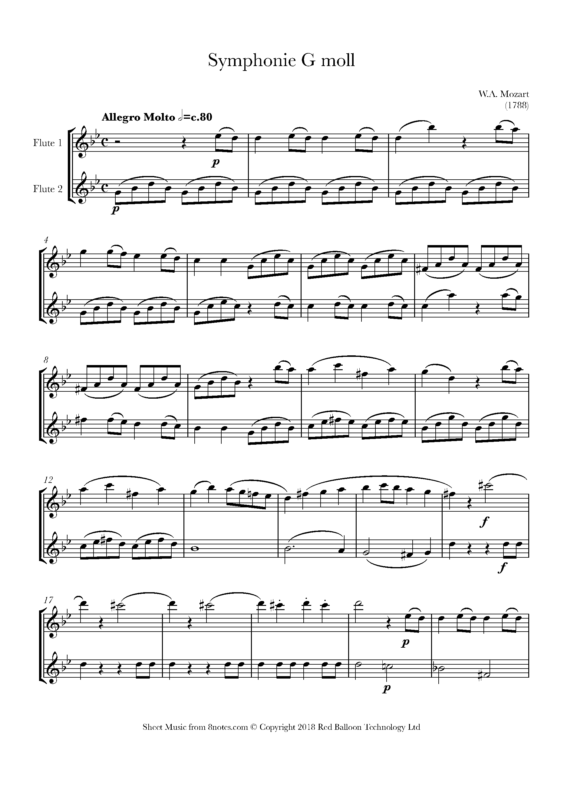 Mozart Symphony no. 40 1st mvt Sheet music for Flute Duet