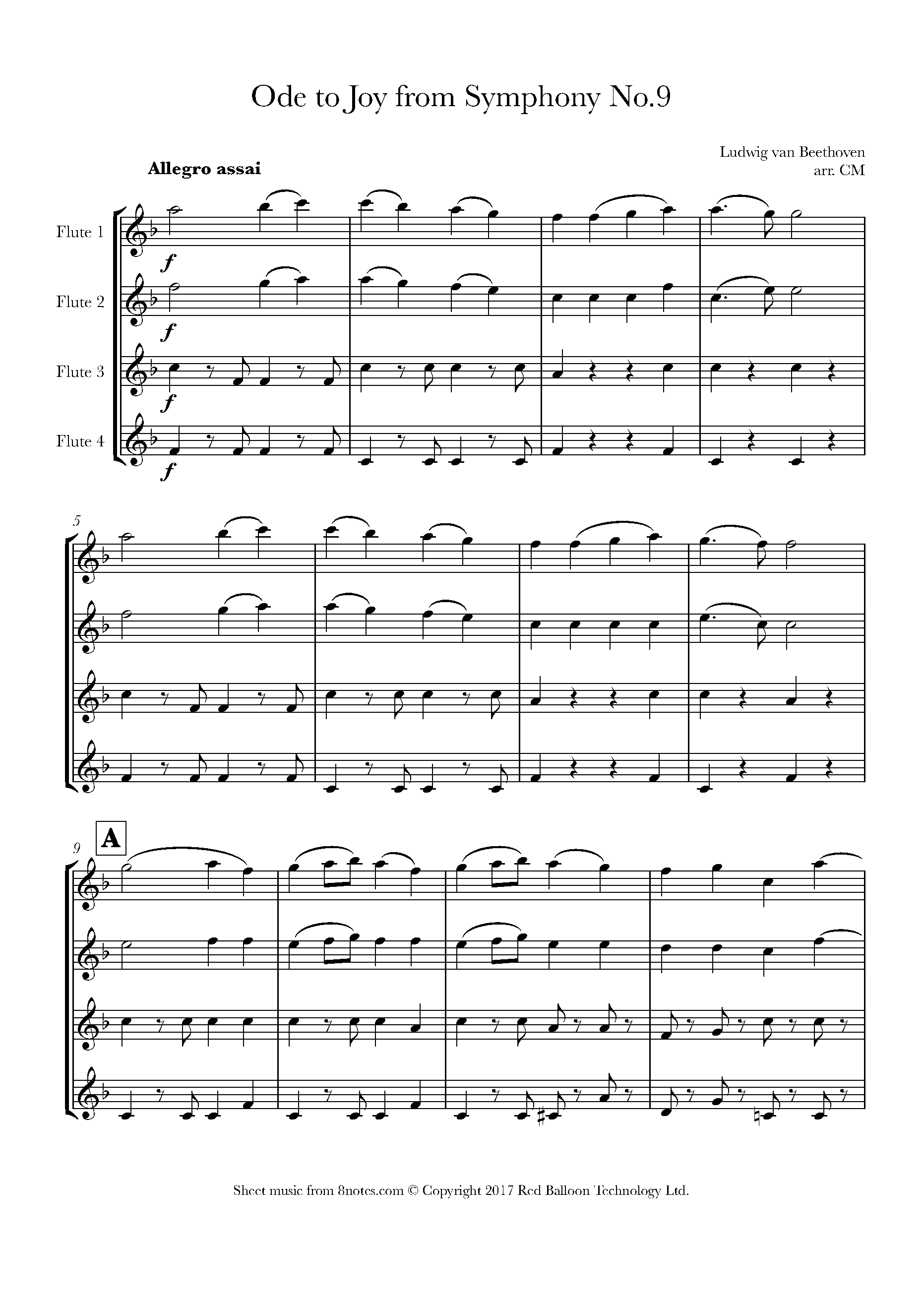 Beethoven Ode to Joy from Symphony No.9 (Theme) Sheet music for Flute