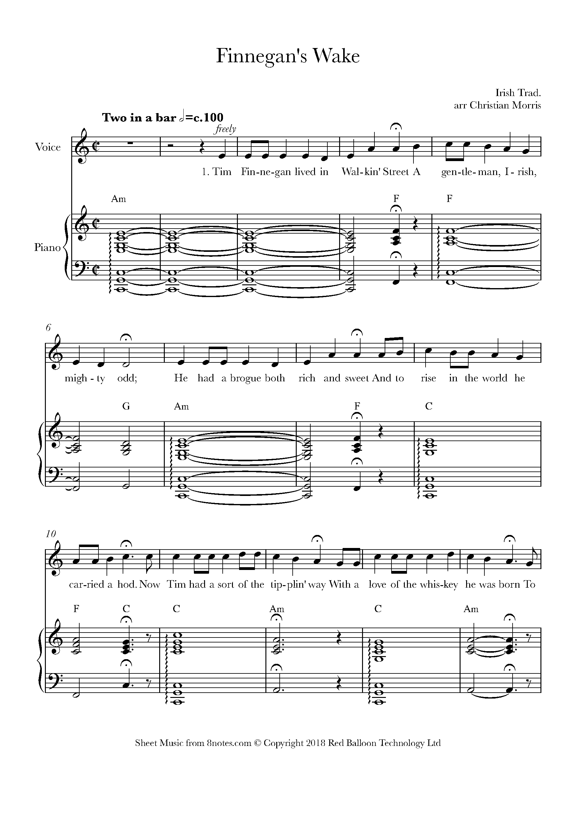 Finnegan's Wake Sheet music for Voice